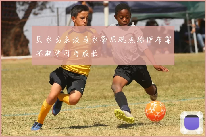 贝尔戈米谈马尔蒂尼观点称伊布需不断学习与成长